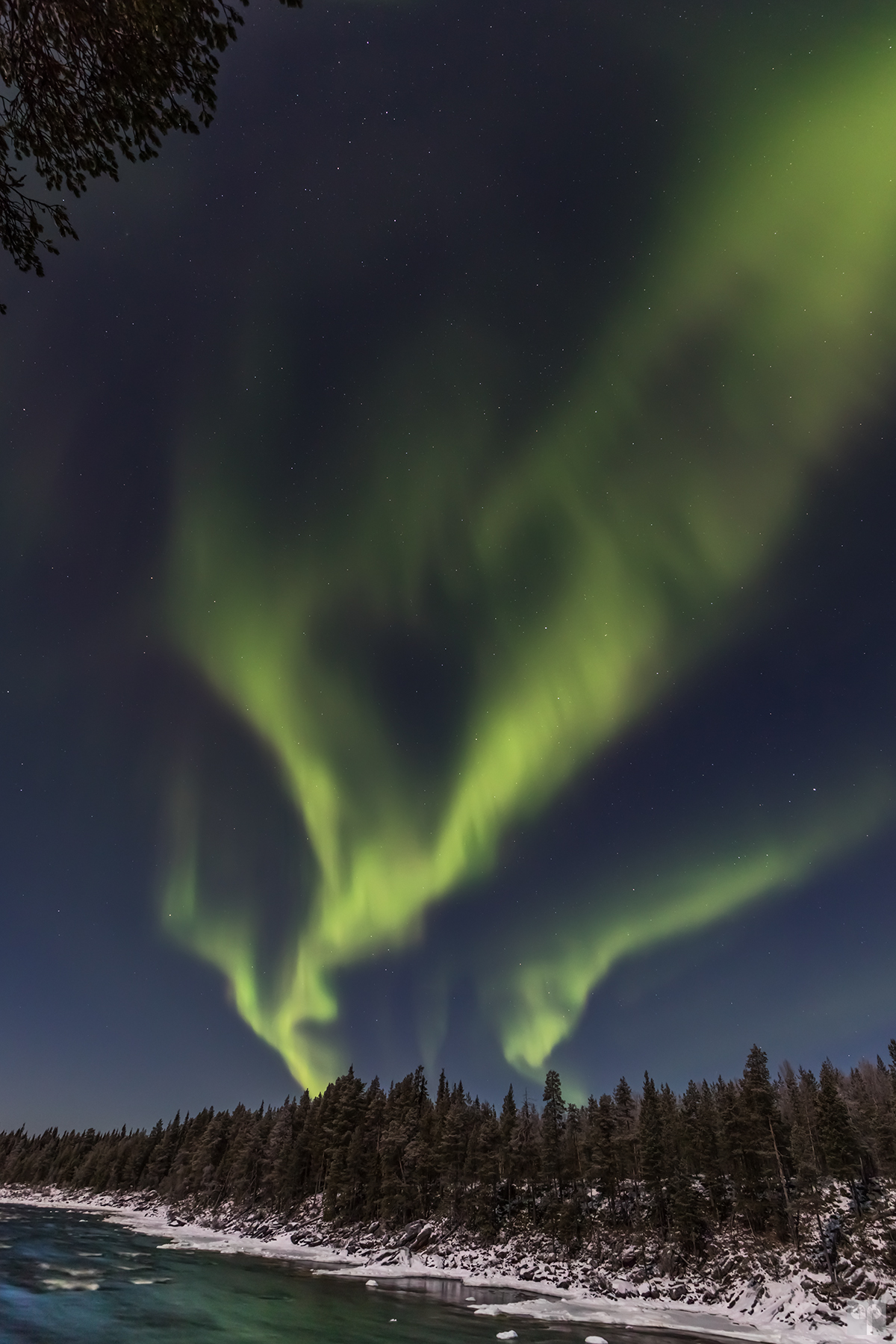 Finnland - Muonio - Polarlicht